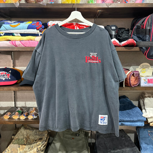 90s THE GAME Chicago Bulls Embroidered Graphic Tee XL