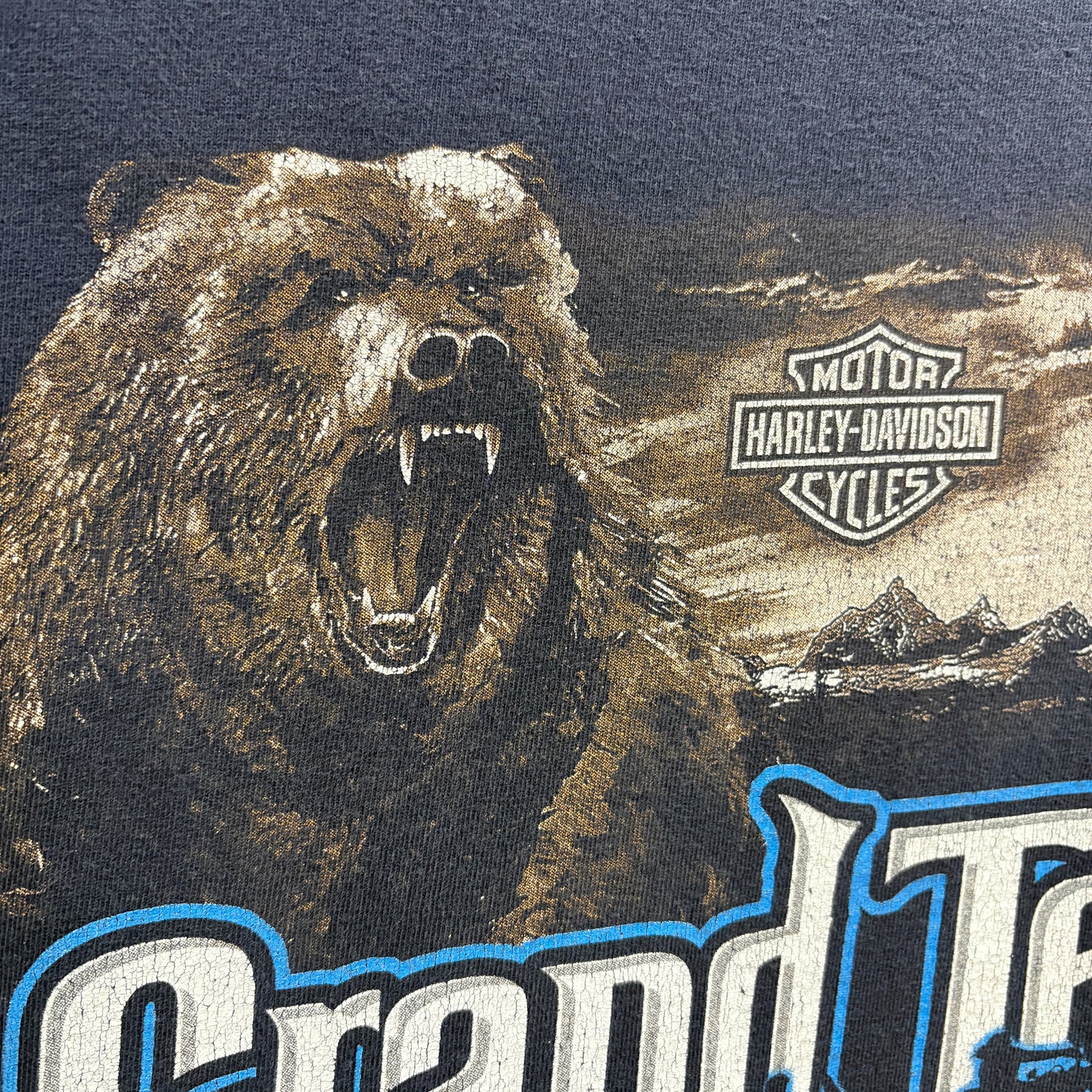 【2006s HARLEY-DAVIDSON “Grand Talon” Vintage T-Shirt】