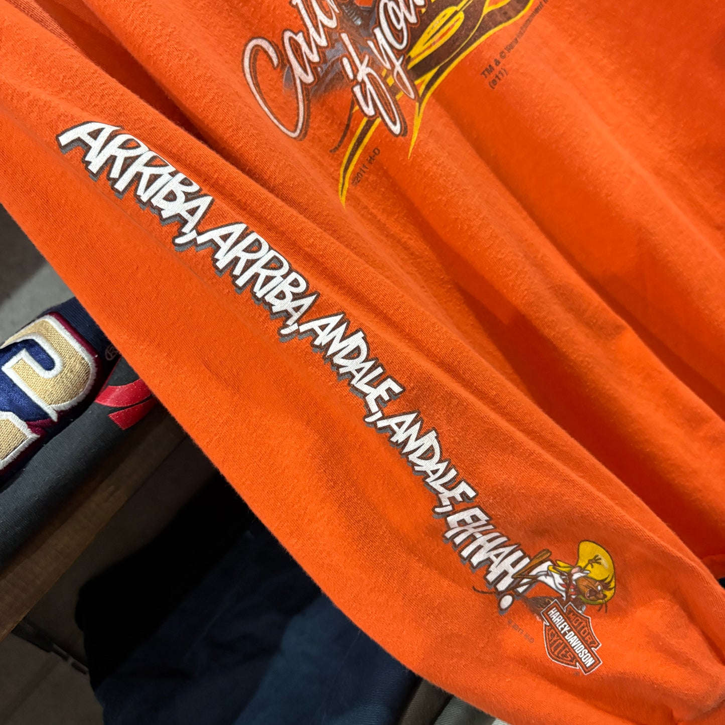 【2011 / Harley-Davidson × Warner Bros. / Long Sleeve T-Shirt / L】