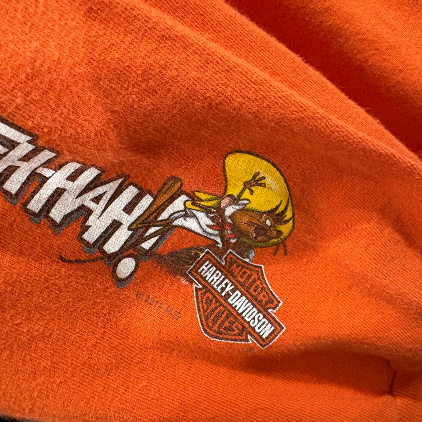 【2011 / Harley-Davidson × Warner Bros. / Long Sleeve T-Shirt / L】