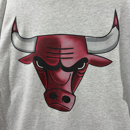 90s anvil "Calvin Klein × CHICAGO BULLS" Parody Tee　シカゴ・ブルズ