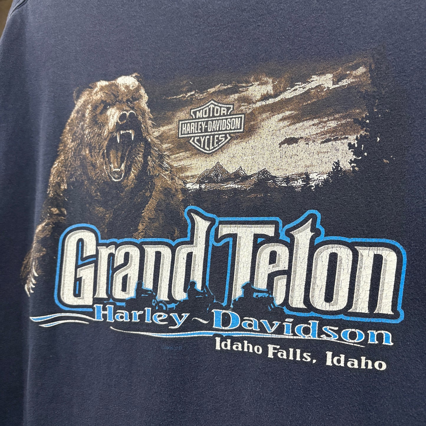 【2006s HARLEY-DAVIDSON “Grand Talon” Vintage T-Shirt】