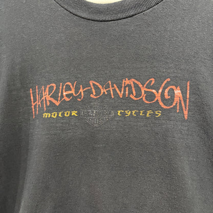 【2004s HARLEY-DAVIDSON “AUSTIN, TEXAS” Vintage T-Shirt】