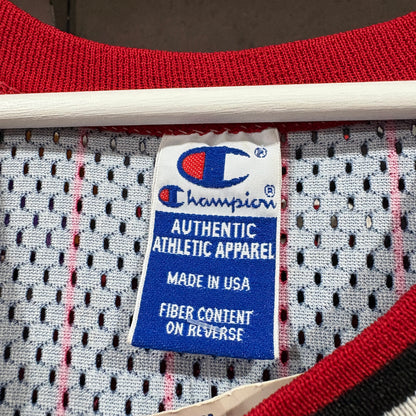 Chicago Bulls / Dennis Rodman #91 / Champion Replica Jersey